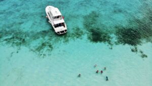 Photo by fernando-jorge-Unsplash-Snorkeling is one of the best things to do on a day trip to Cozumel-unsplash