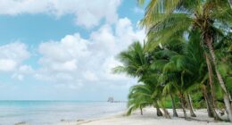 Cozumel beach one of the best Riviera Maya Day Trips Fallon Michael