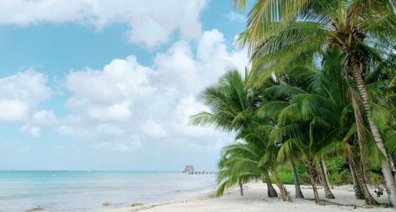 Cozumel beach one of the best Riviera Maya Day Trips Fallon Michael