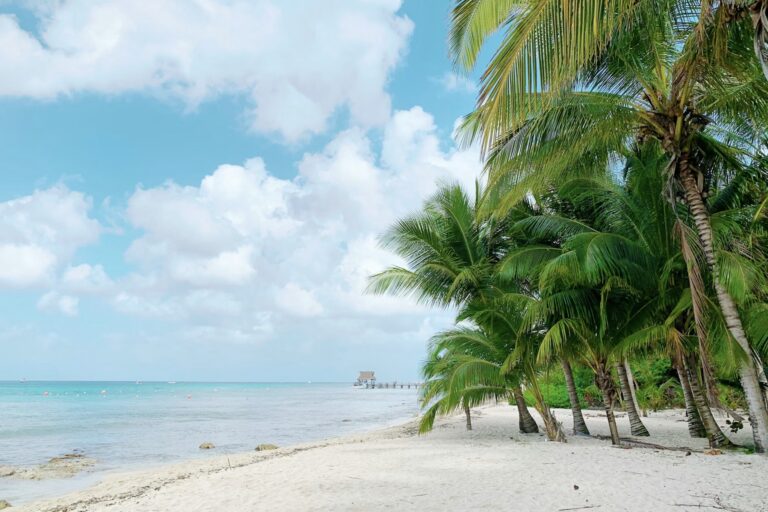Cozumel beach one of the best Riviera Maya Day Trips Fallon Michael