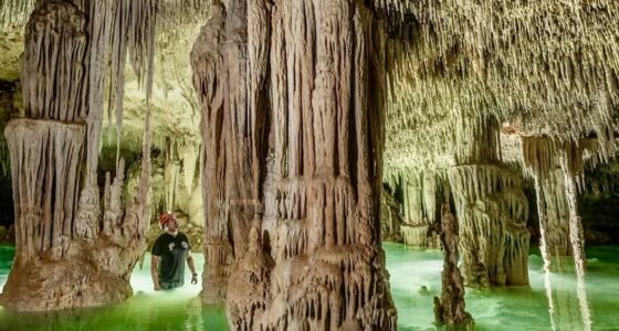 Speleologist Roberto Rojo documents the world beneath Yucatán and Riviera Maya and fights to protect it from destruction