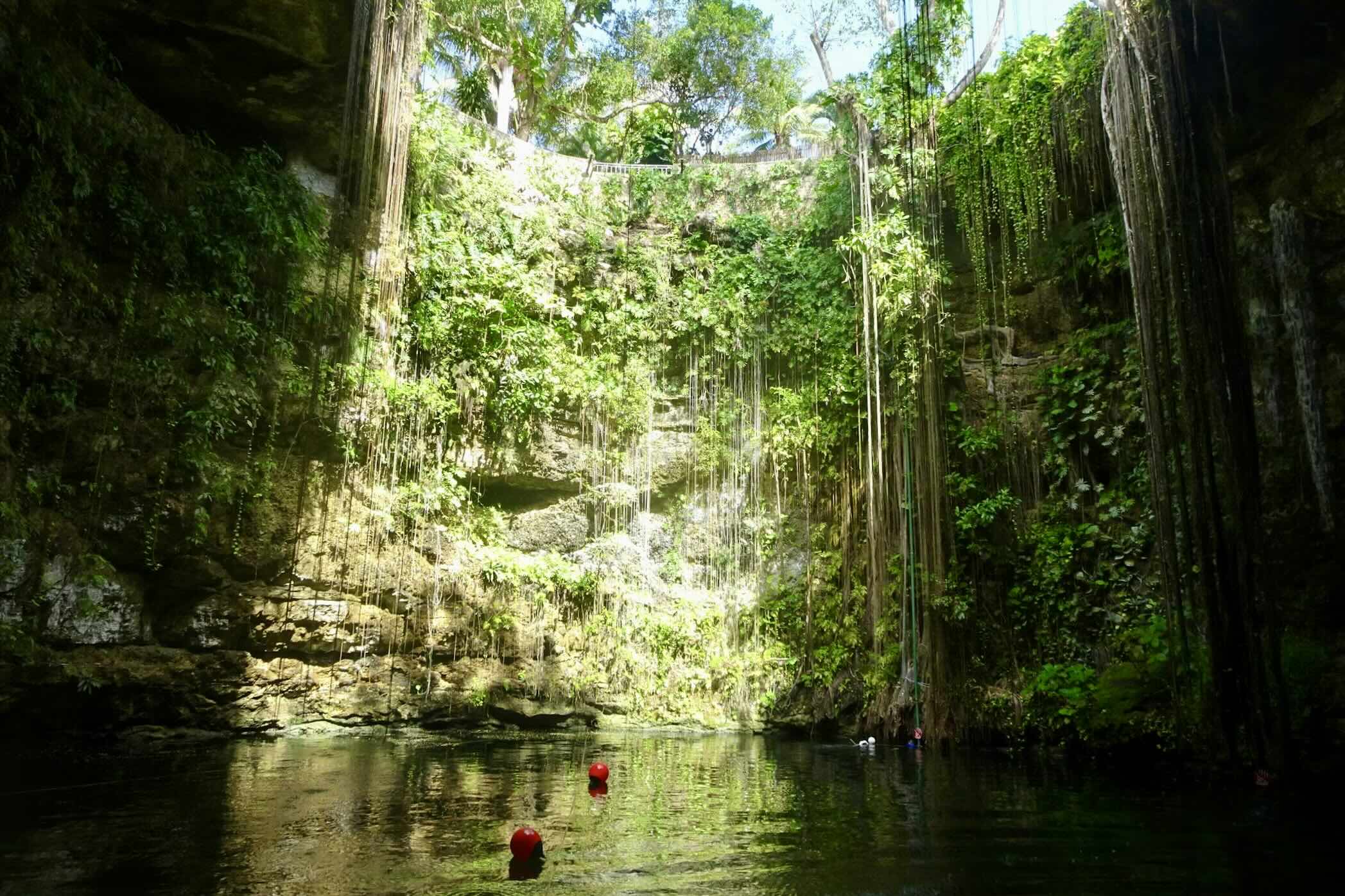 Cenote Ik-Kil Laura LaBrie. jpg