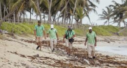 World Wildlife Day in Riviera Maya