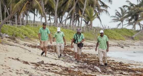 World Wildlife Day in Riviera Maya