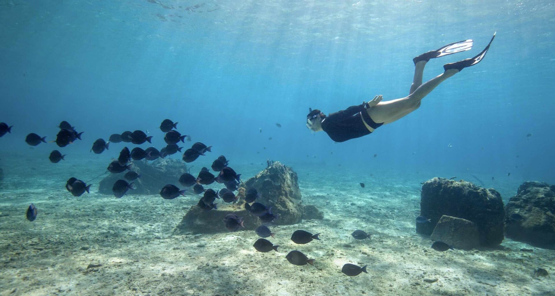 Woman Scuba diving as direct flights connect Montreal to Cozumel CNW Group:Sunwing Vacations Inc.)