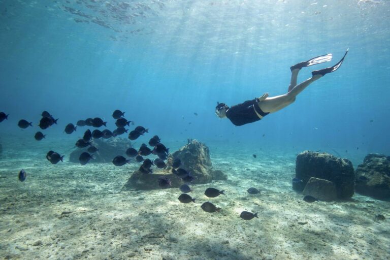 Woman Scuba diving as direct flights connect Montreal to Cozumel CNW Group:Sunwing Vacations Inc.)