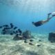Woman Scuba diving as direct flights connect Montreal to Cozumel CNW Group:Sunwing Vacations Inc.)
